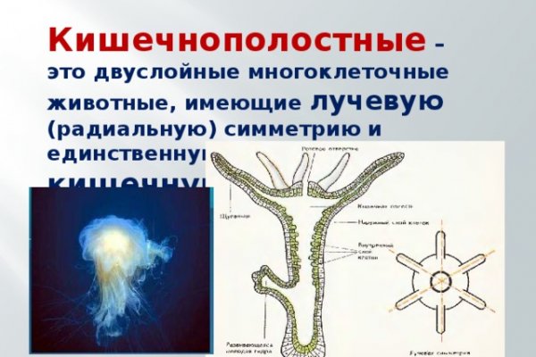 Даркнет маркет кракен onion