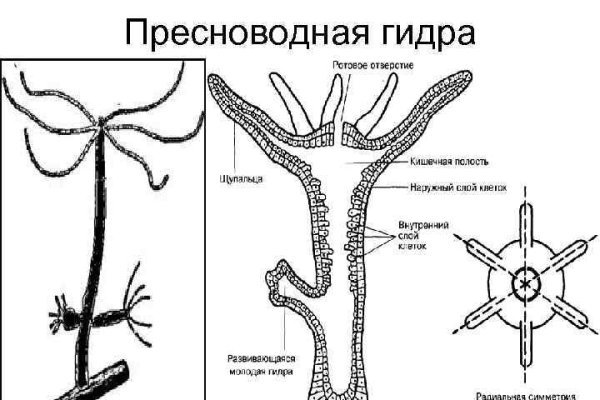 Что такое кракен сайт